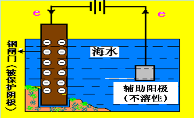 42ec041fa36fcbd513d51e848b0d7301